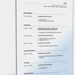 Groß Und Außenhandelskaufmann Bewerbung Vorlage Gut Lebenslauf Groß Und Außenhandel