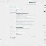 Groß Und Außenhandelskaufmann Bewerbung Vorlage Wunderbar Lebenslauf Professionell Erstellen Lassen Tipps Zum Cv