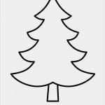 Großer Stern Vorlage Einzigartig Le Malvorlagen Tannenbaum