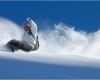 Gründungsplan Vorlage Neu Vorlage Ski Resort滑雪场 10 Ski Lakeridge 滑雪场