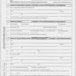 Gutachten Vorlage Kostenlos Beste Kfz Gutachten Vorlage – Kostenlos Vorlagen