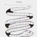 Gutachten Vorlage Kostenlos Hübsch Praxis Für Kinder Und Jugendpsychiatrie