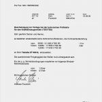 Gutachten Vorlage Luxus Reifen