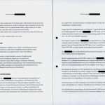 Gutachten Vorlage Süß Mpu Erfahrung