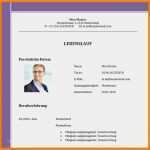 Gute Lebenslauf Vorlage 2017 Genial 15 2017 Bis Dato Lebenslauf