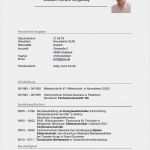 Guter Lebenslauf Vorlage Einzigartig 9 Perfekt Guter Lebenslauf Ausbildung Tipps