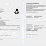 Guter Lebenslauf Vorlage Schönste Lebenslauf Aufbau Struktur Und Inhalt