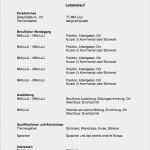 Guter Lebenslauf Vorlage Süß Vorlage Biografie Lebenslauf Beispiel