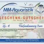 Gutschein Fotoshooting Vorlage Text Schönste Mm Aquaristik Geschenk Gutschein Mm Aquaristik
