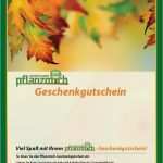 Gutschein Für Pflanzen Vorlage Hübsch Geschenkgutschein Pflanzmich Einkaufsgutschein