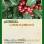 Gutschein Für Pflanzen Vorlage Hübsch Geschenkgutschein Pflanzmich Einkaufsgutschein