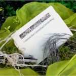 Gutschein Für Pflanzen Vorlage Inspiration Adolf Mock Gmbh