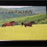 Gutschein Für Reitstunden Vorlage Kostenlos Angenehm Reitschule Anja Brunoni