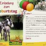 Gutschein Kartfahren Vorlage Schönste Die 25 Besten Ideen Zu Einladung Kindergeburtstag Text