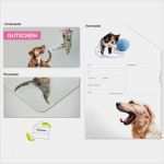 Gutschein Physiotherapie Vorlage Schönste Gutschein Verschiedenes Hund & Katze