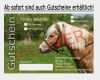 Gutschein Ponyreiten Vorlage Cool Shop