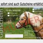 Gutschein Ponyreiten Vorlage Cool Shop