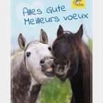 Gutschein Ponyreiten Vorlage Süß Bon D Achat à Imprimer Bons D Achat à Imprimer Felix