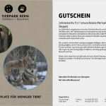 Gutschein Reiten Vorlage Best Of Gutschein Für Hagenbecks Tierpark Gutschein Fußpflege Vorlage