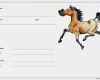 Gutschein Reiten Vorlage Einzigartig Gutschein Reiten Vorlage Xp21
