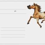 Gutschein Reiten Vorlage Schönste Boxenschild Angeber Fuchs Ic Schilder