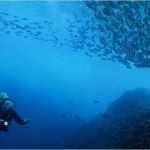 Gutschein Tauchen Vorlage Genial Calella Aquanautaquanaut