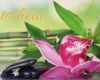 Gutschein Thai Massage Vorlage Wunderbar Gutscheine