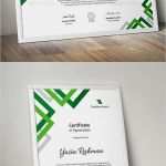 Gutschein Vorlage Docx Genial Die Besten 25 Zertifikat Vorlage Ideen Auf Pinterest