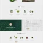 Gutschein Vorlage Docx Hübsch Die Besten 25 Zertifikat Vorlage Ideen Auf Pinterest