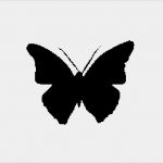 Gutschein Vorlage Entspannung Hübsch Kostenlose Farbmuster