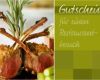 Gutschein Vorlage Essen Best Of Defshop Gutscheincode Versandkosten Gutschein Zalando