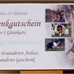 Gutschein Vorlage Fotoshooting Hübsch Herbstnebel Stempeln Einmal anders