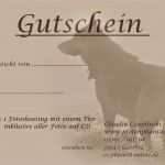 Gutschein Vorlage Musical Erstaunlich Pfotenphantasie Gutscheine