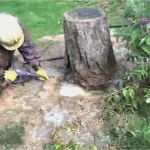 Gutscheinvorlagen Friseur Gutschein Vorlage Haare Schneiden Bewundernswert Wie Pflege Ich Einen Bonsai Wie Kann Ich Mir Einen Bonsai