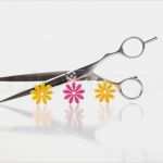 Gutscheinvorlagen Friseur Gutschein Vorlage Haare Schneiden Erstaunlich Schere Mit Blüten Gut Geeignet Als