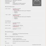 Guv Erstellen Vorlage Einzigartig Modele Cv format Word 2019 01 16t04 29