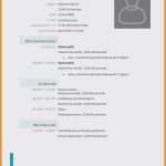 Guv Erstellen Vorlage Elegant Yad Vashem 8 Bewerbung Anschreiben Muster Word 2019