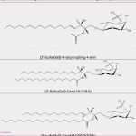 Haccp Entscheidungsbaum Vorlage Genial Temperaturkontrolle Lebensmittel Vorlage Haccp Konzept