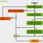 Haccp Entscheidungsbaum Vorlage Neu Haccp