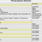 Haccp Entscheidungsbaum Vorlage Wunderbar Haccp Reinigungsplan – Sldvweb