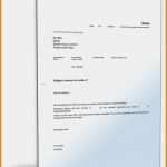 Haftungsausschluss Englisch Vorlage Angenehm 15 Rechnung Englisch