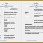 Haftungsausschluss Englisch Vorlage Schön 8 Lebenslauf Spanisch Muster