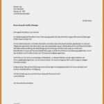 Haftungsausschluss software Vorlage Erstaunlich tolle Rechtliche Haftungsausschluss Vorlage Fotos