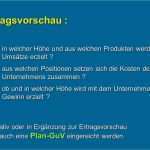 Haftungsausschluss software Vorlage Hübsch Gewinn Und Verlustrechnung Businessplan