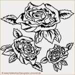 Haftungsausschluss Vorlage Kostenlos Genial Tattoo Haftungsausschluss Vorlage Neu Sinntraeger Tattoos