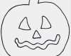 Halloween Basteln Vorlagen Inspiration Halloween Basteln Vorlagen &amp; Ideen Zum Ausdrucken