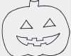 Halloween Basteln Vorlagen Schön Halloween Kuerbis Vorlage Zum Ausschneiden Xobbu