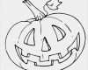 Halloween Deko Vorlagen Cool Die Besten 25 Fensterbilder Basteln Vorlagen Kostenlos