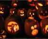 Halloween Deko Vorlagen Süß 40 Kostenlose Kürbis Vorlagen Zum Ausdrucken Schnitzen