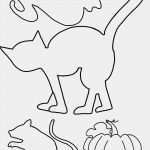 Halloween Fensterbilder Vorlagen Erstaunlich Malvorlagen Und Briefpapier Gratis Zum Drucken Basteln